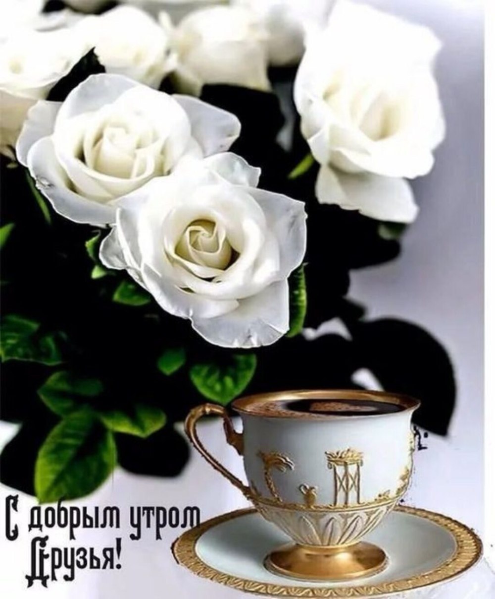 С добрым утром розы