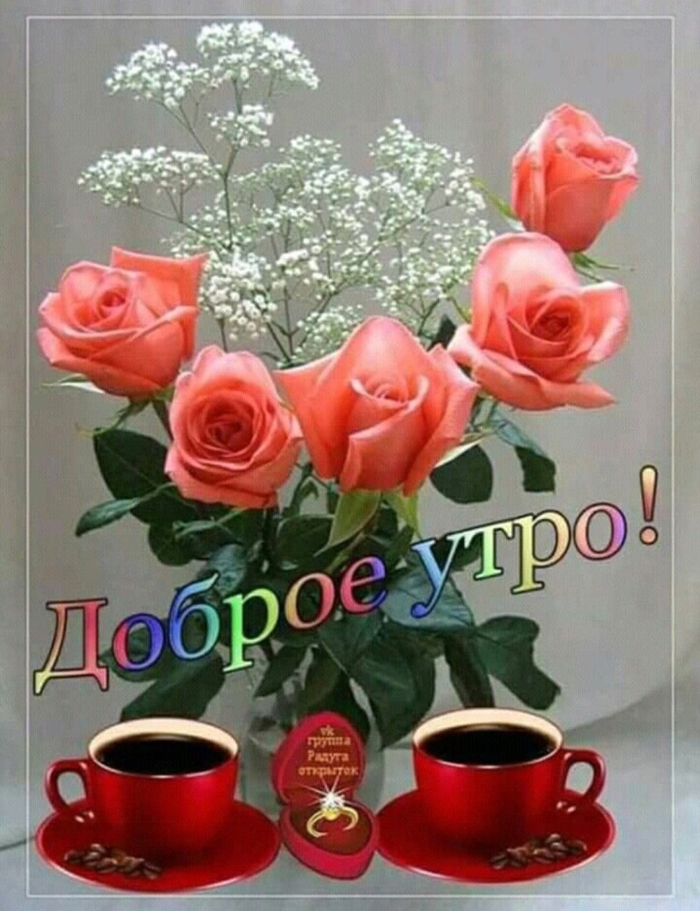 Живые розы в вазе
