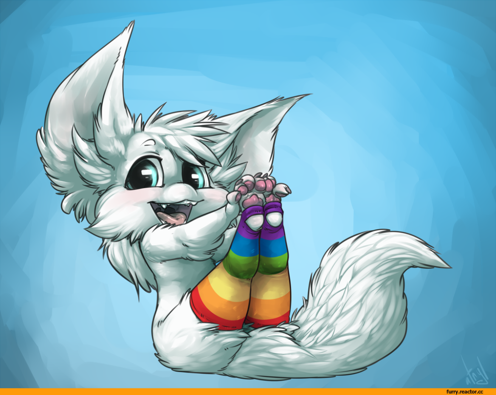 Silverfox фенек