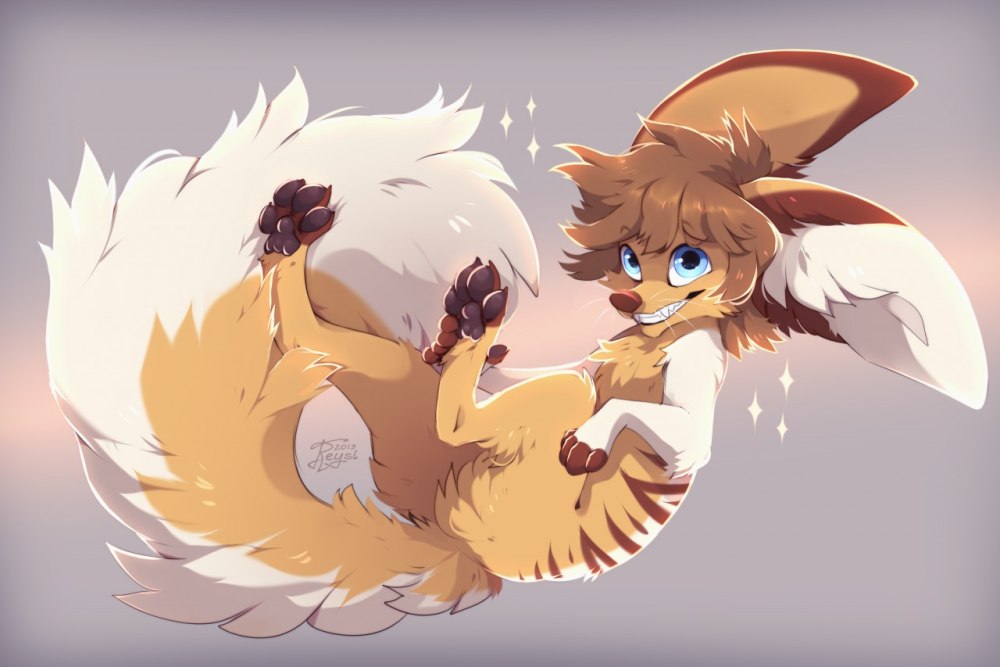 Fennec Fox furry