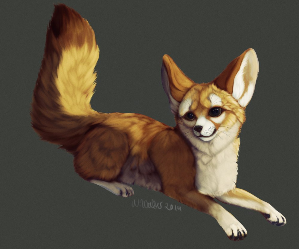 Rukifox фенек