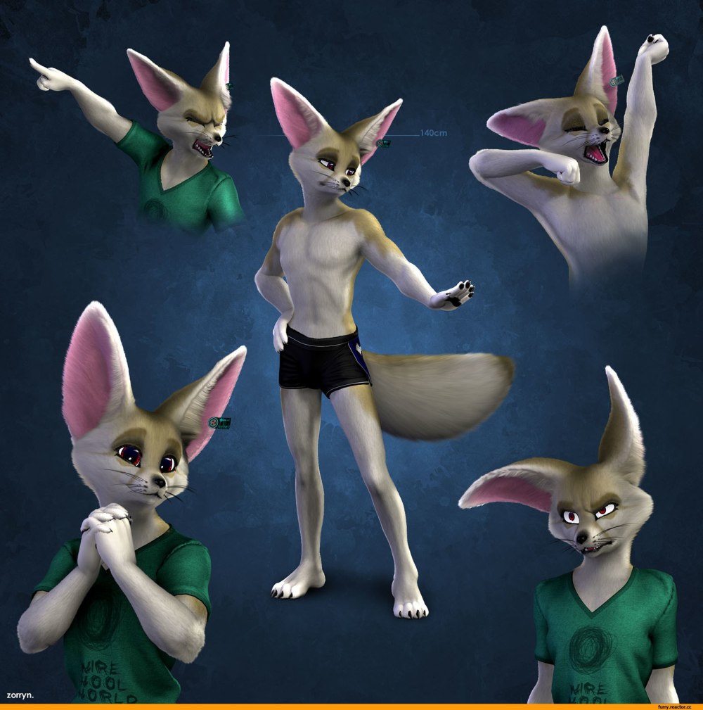 Фурри Fennec Fox