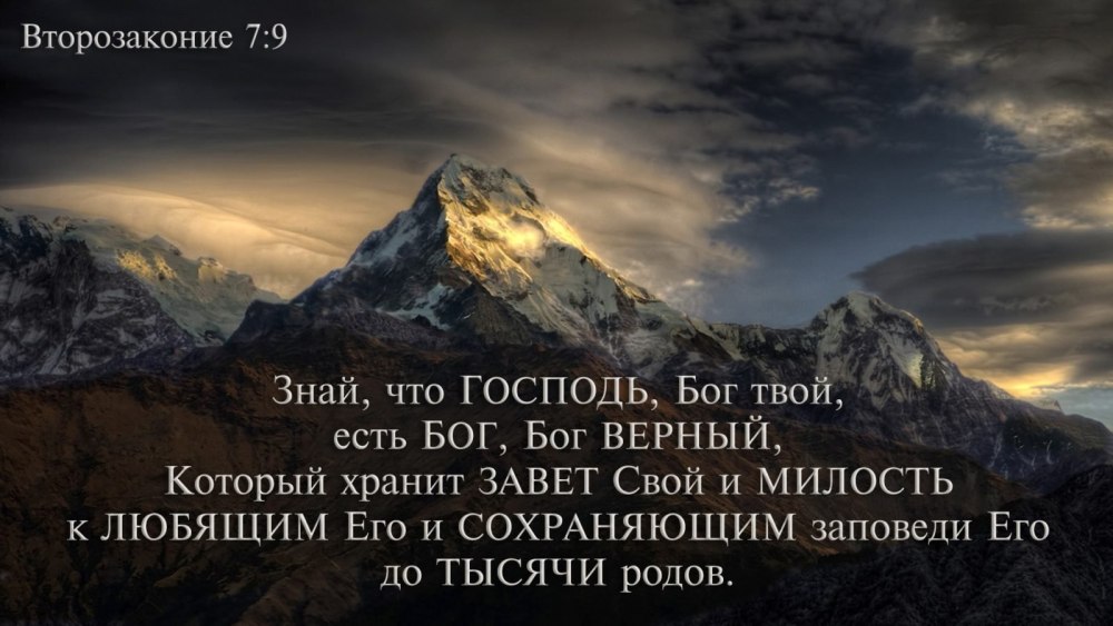 Фон для мотивационных цитат