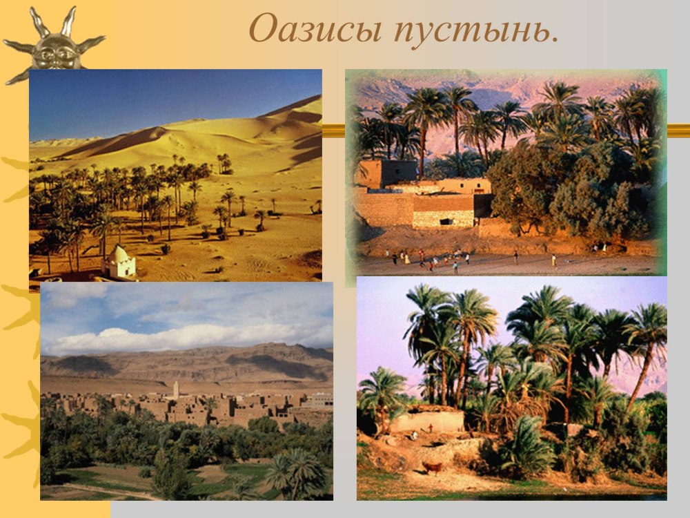 Король Лев Саванна