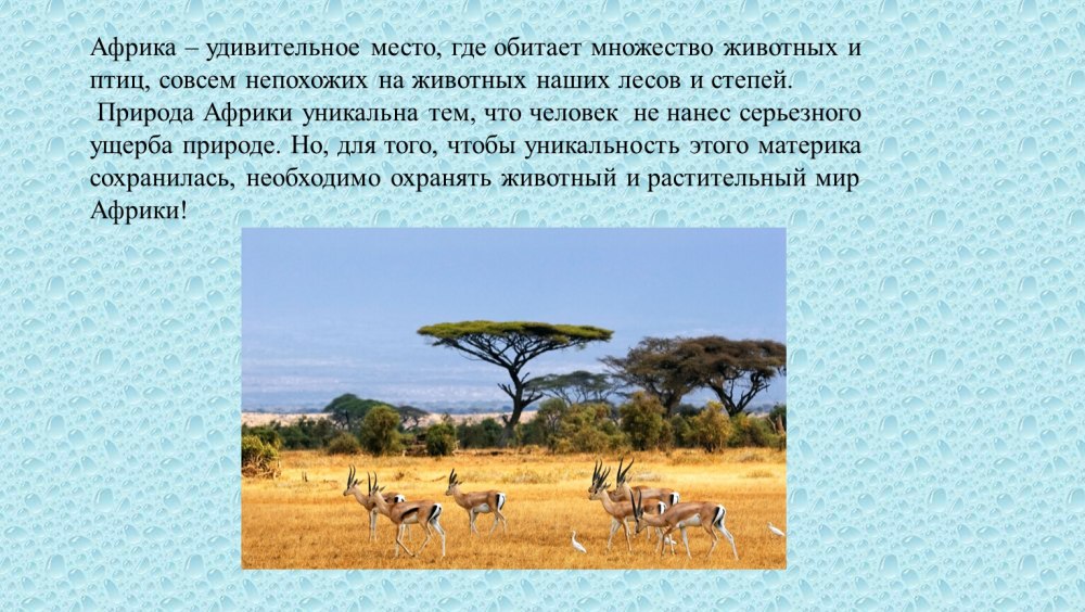 Африка карта для детей