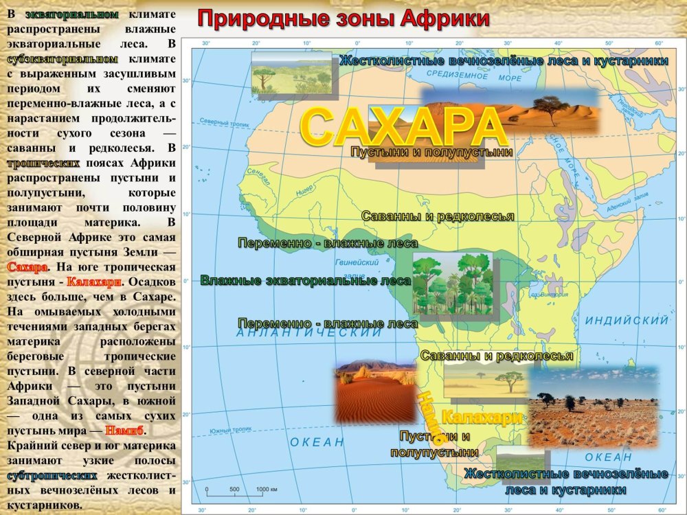 Население Африки презентация