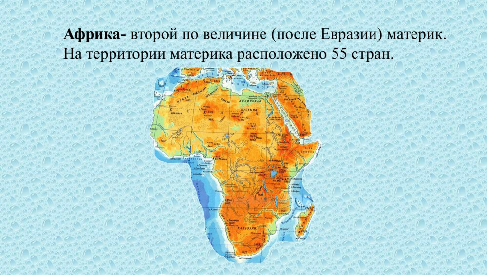Описание жирафа