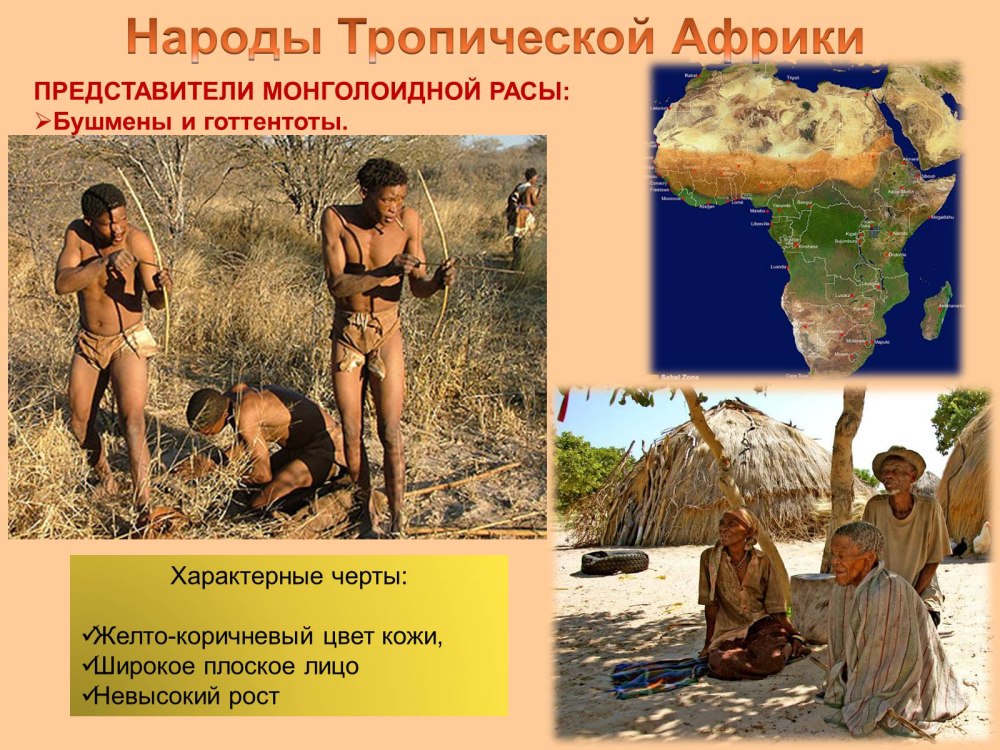 Континент Африка для детей с животными