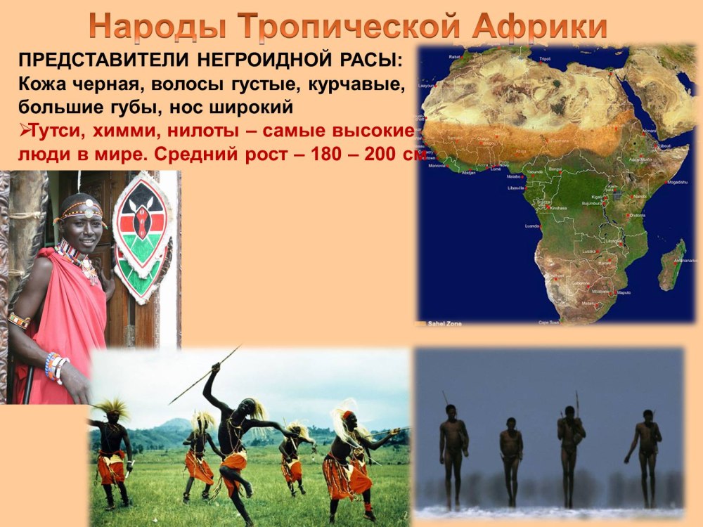 Животный мир Африки