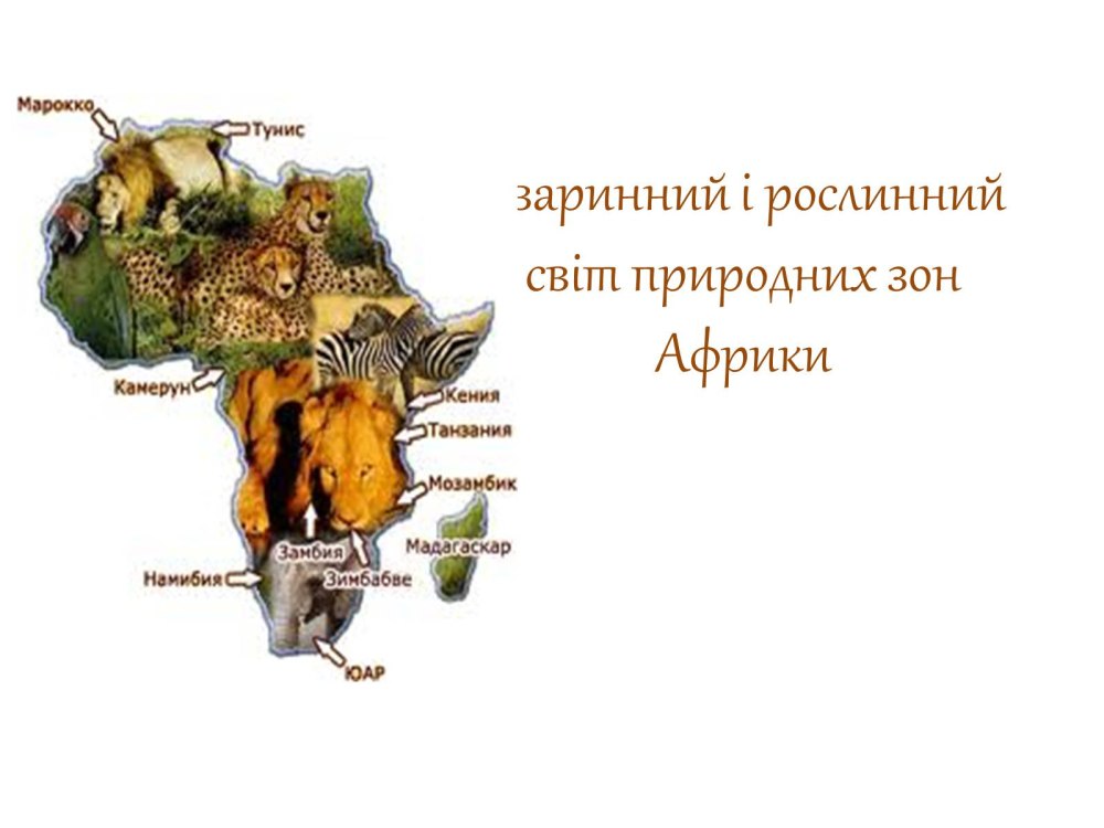 Африканский пейзаж вектор