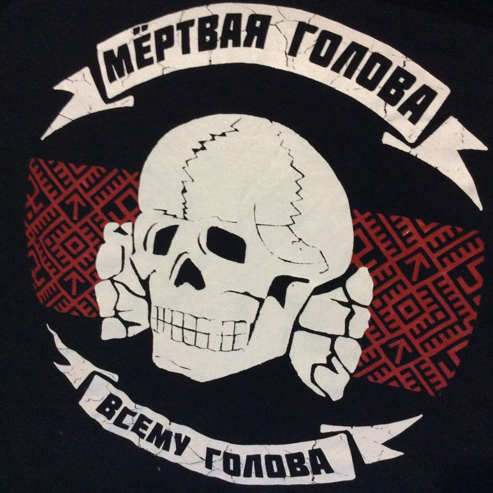 Дивизия СС мертвая голова символика