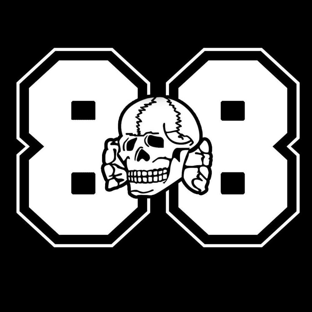 SS Totenkopfverbände форма