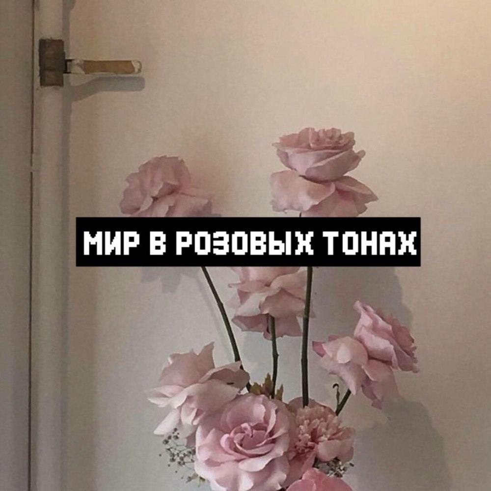 Фразы из книг