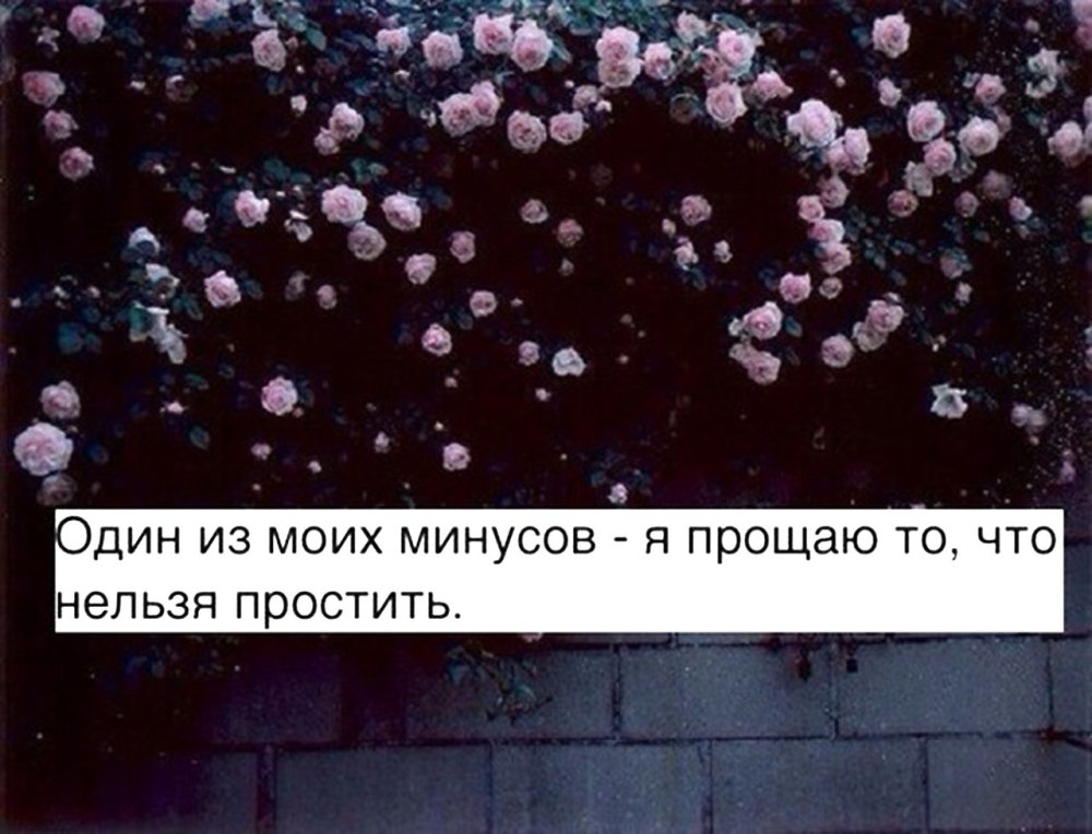 Цитаты из книг на английском