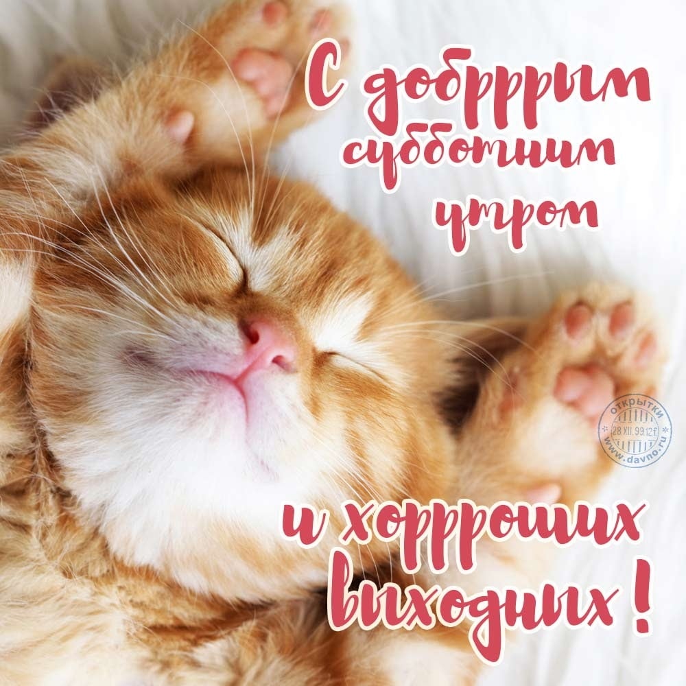 Открытки с добрым утром субботы