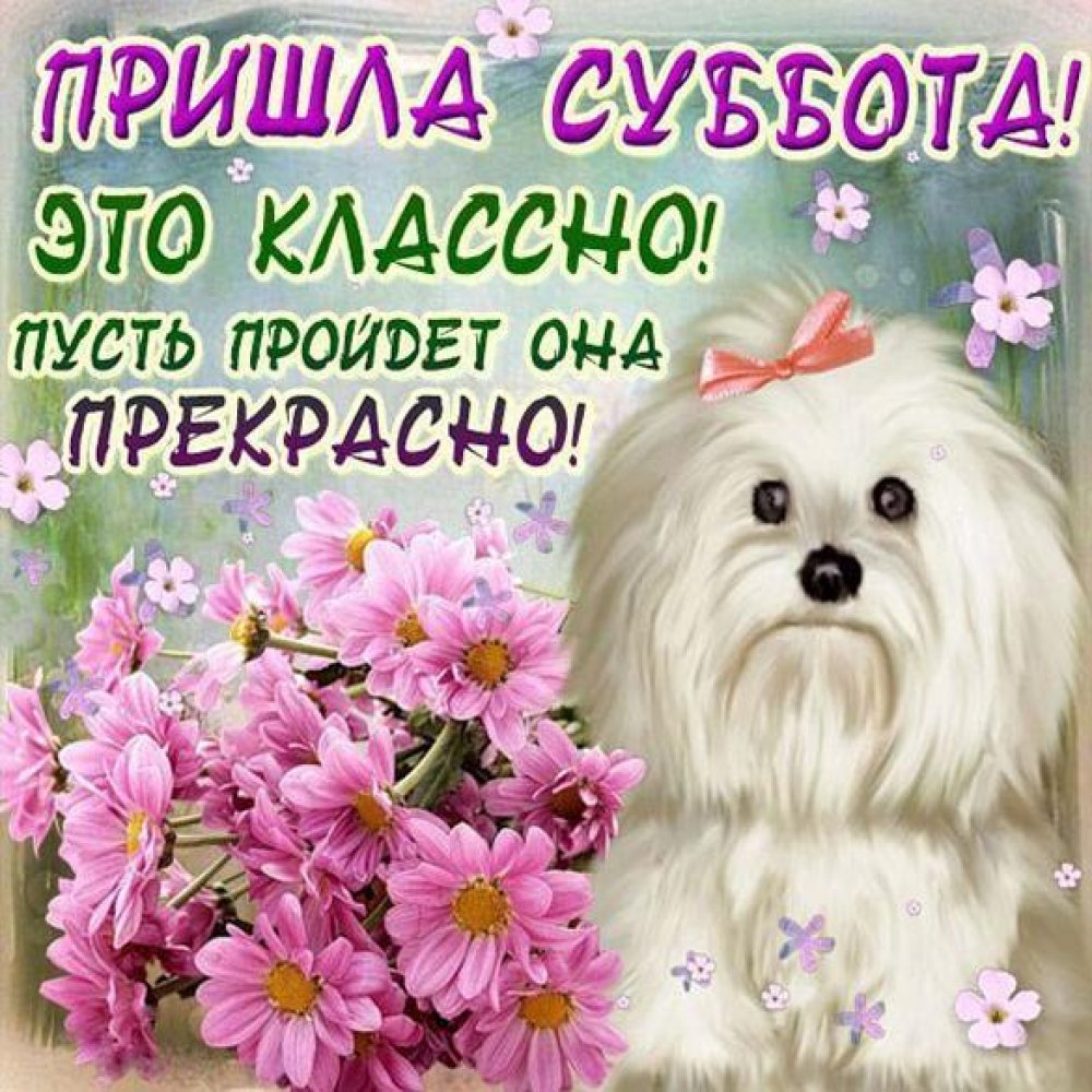 Хороших выходных открытки