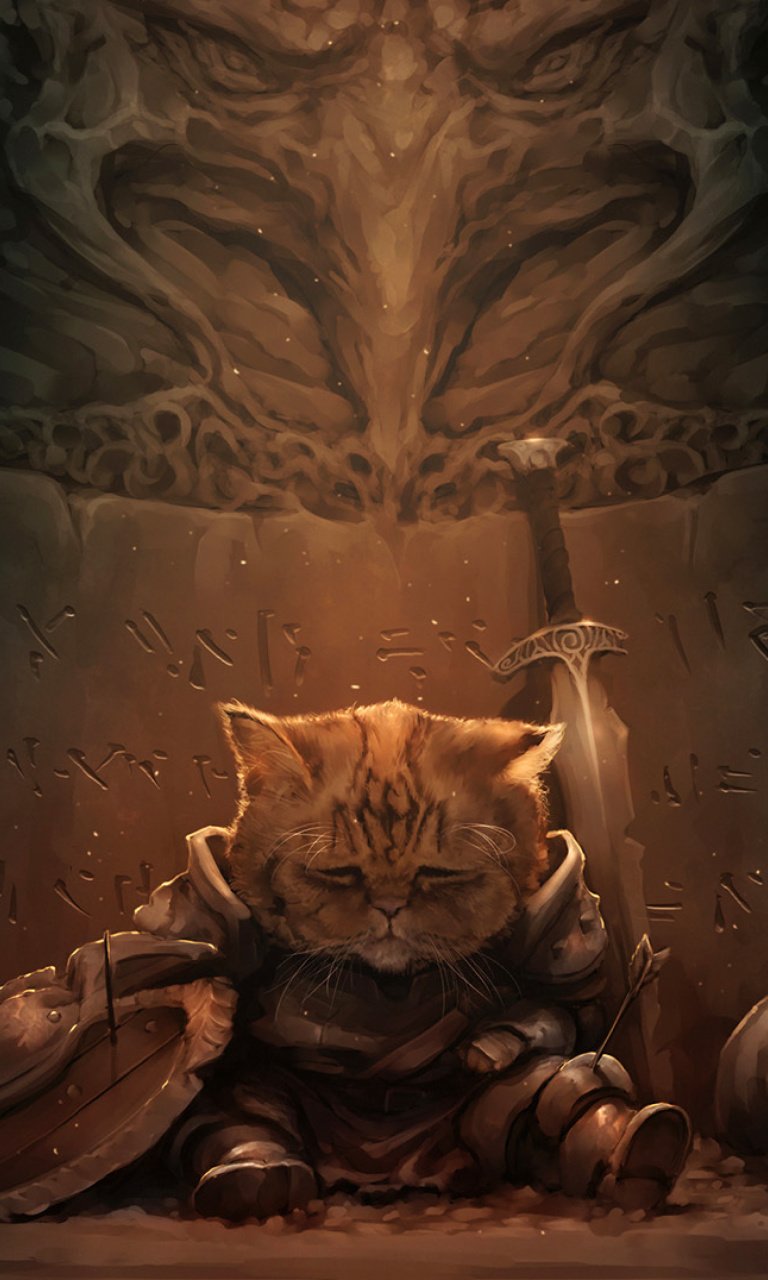 Котик в доспехах