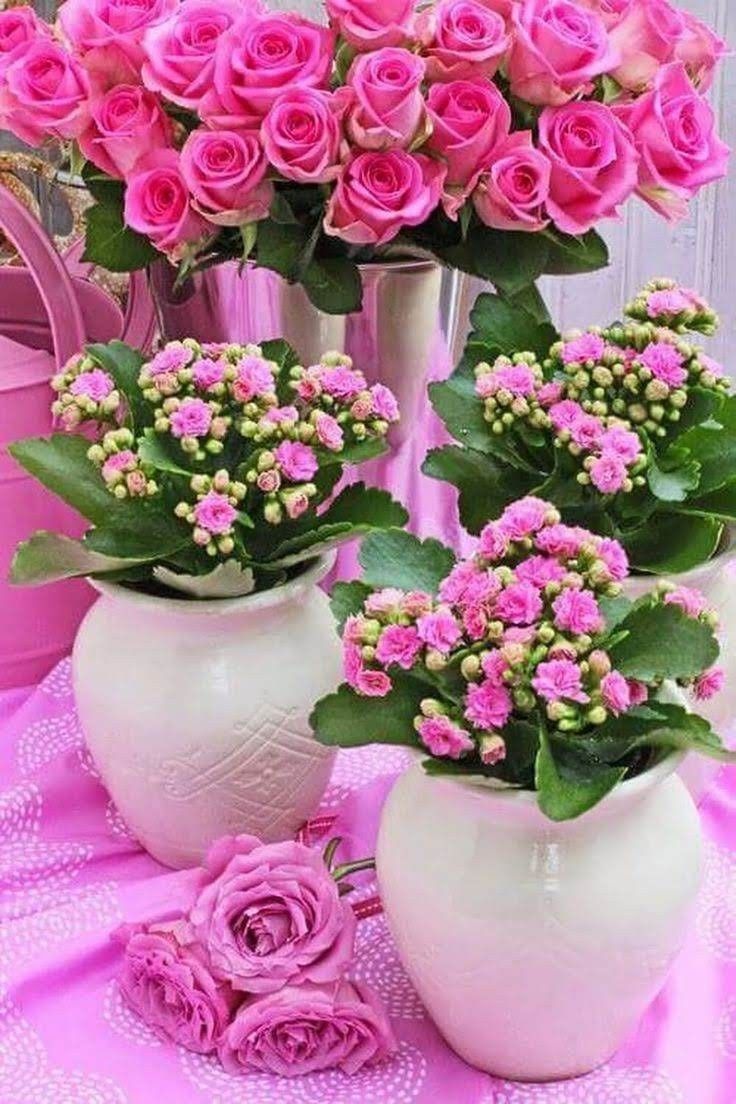 Цветы в чашке