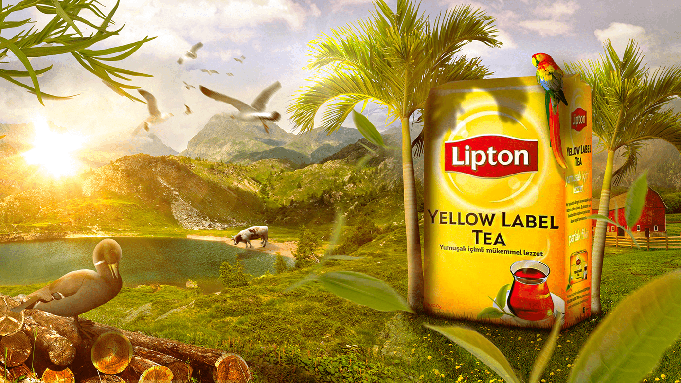 Песня липтон. Липтон зеленый этикетка. Реклама Липтон. Этикетка Липтон холодный чай. Чай Липтон логотип.