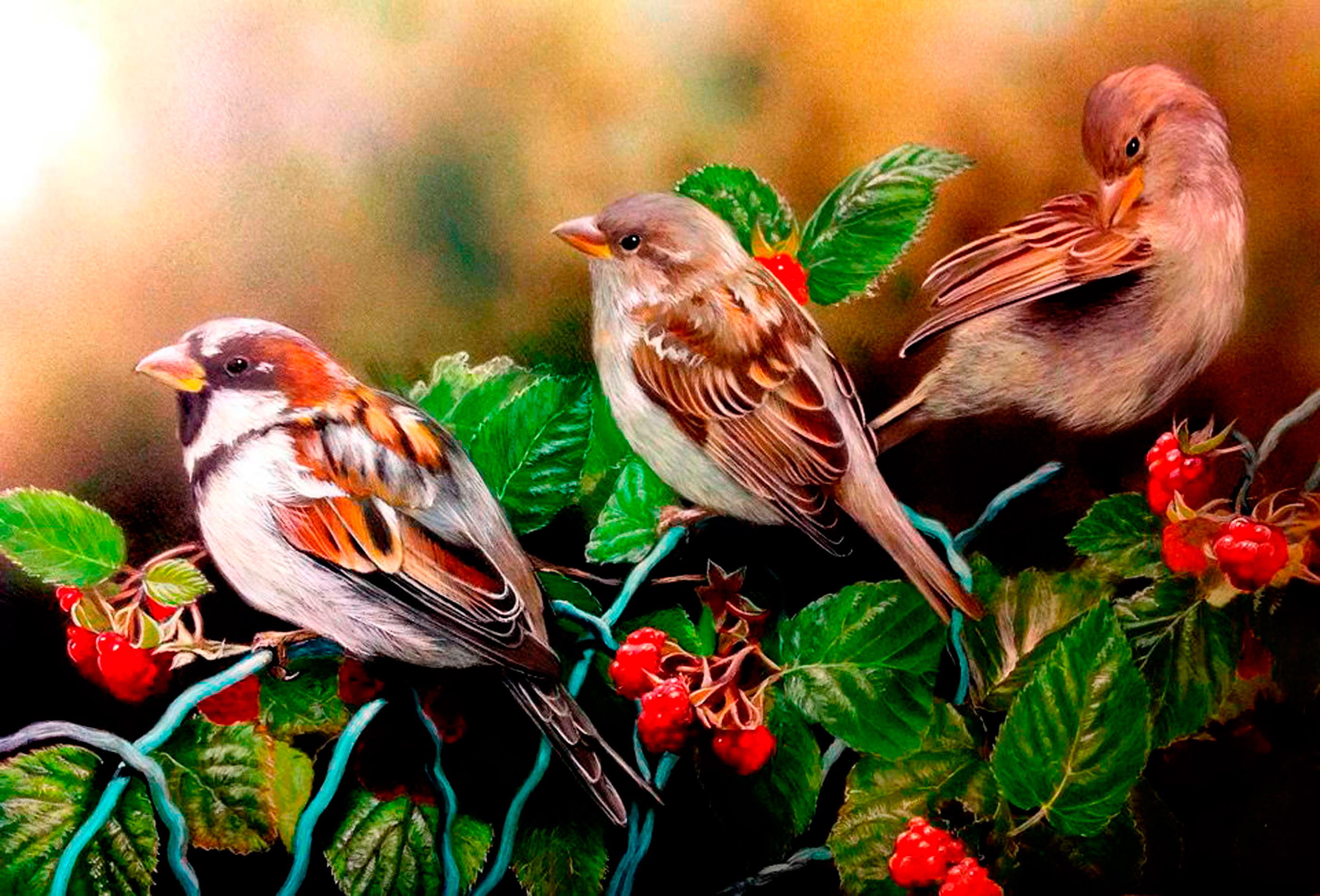 Музыка птички поют. Художница Julia Hargreaves. Природа птицы. Птицы картинки. Птицы живопись.