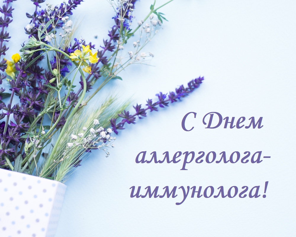Лаванда на Светлом фоне