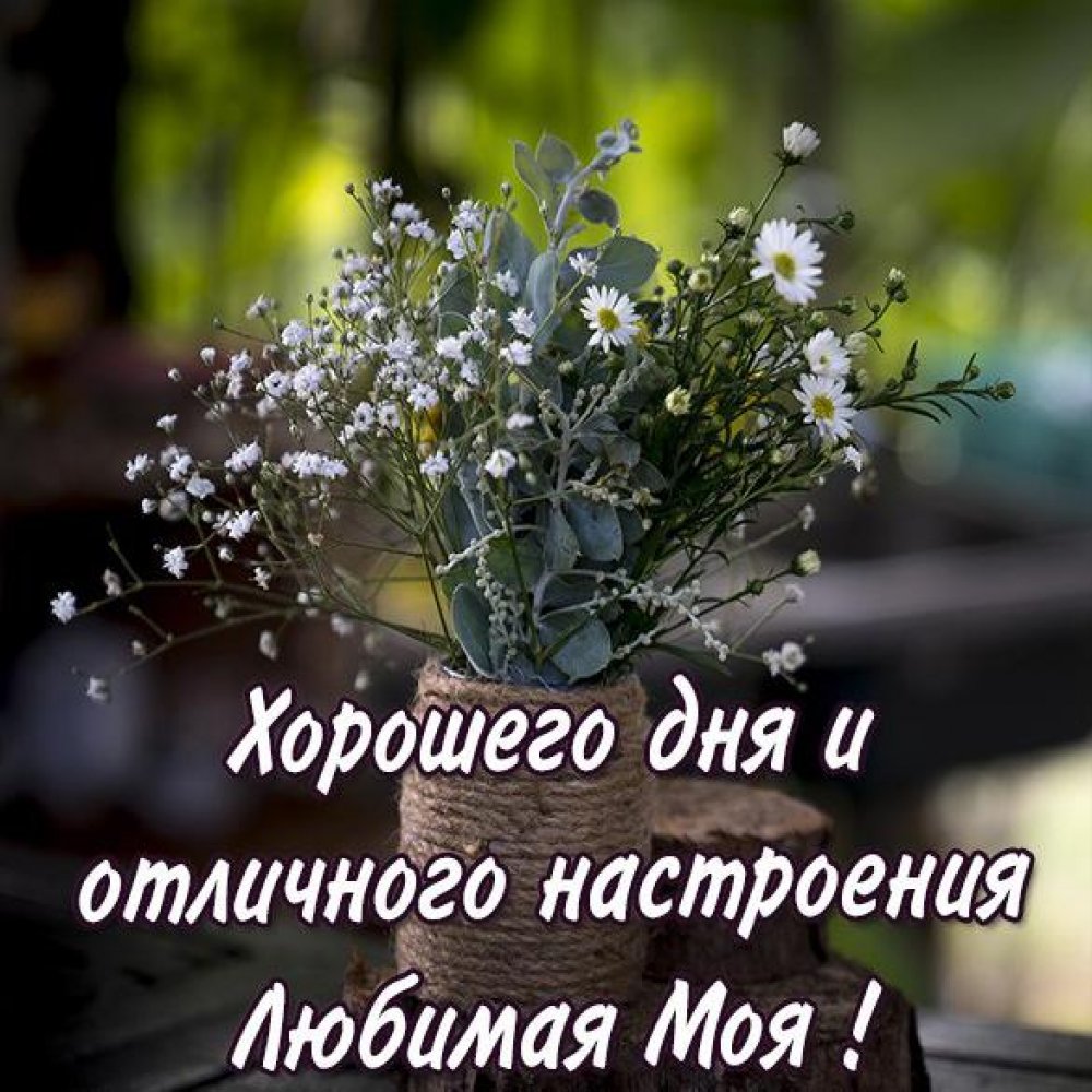 Суперского настроения и море позитива