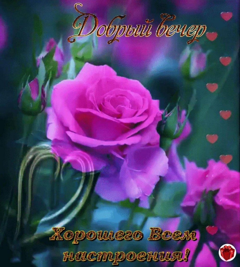 Анимационные цветы