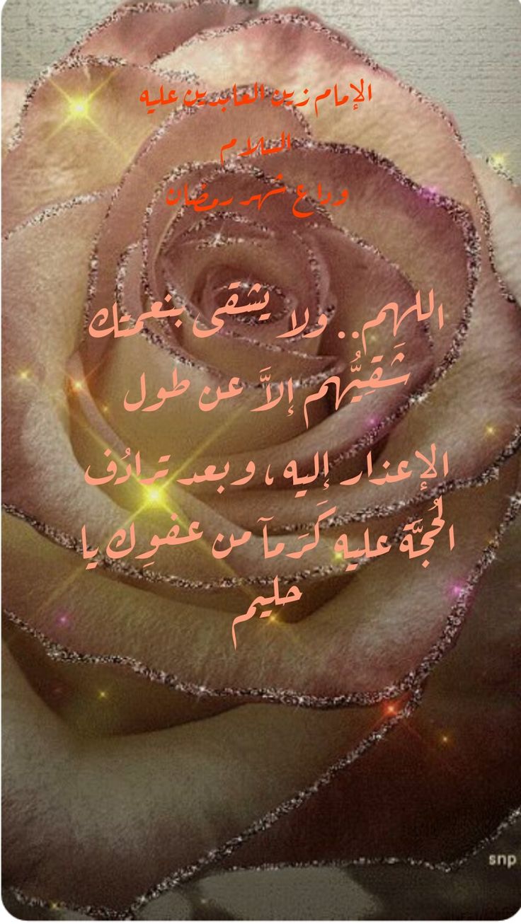 Мерцающие розы