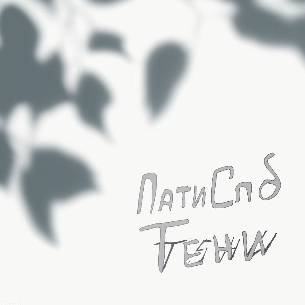 Тень от цветка