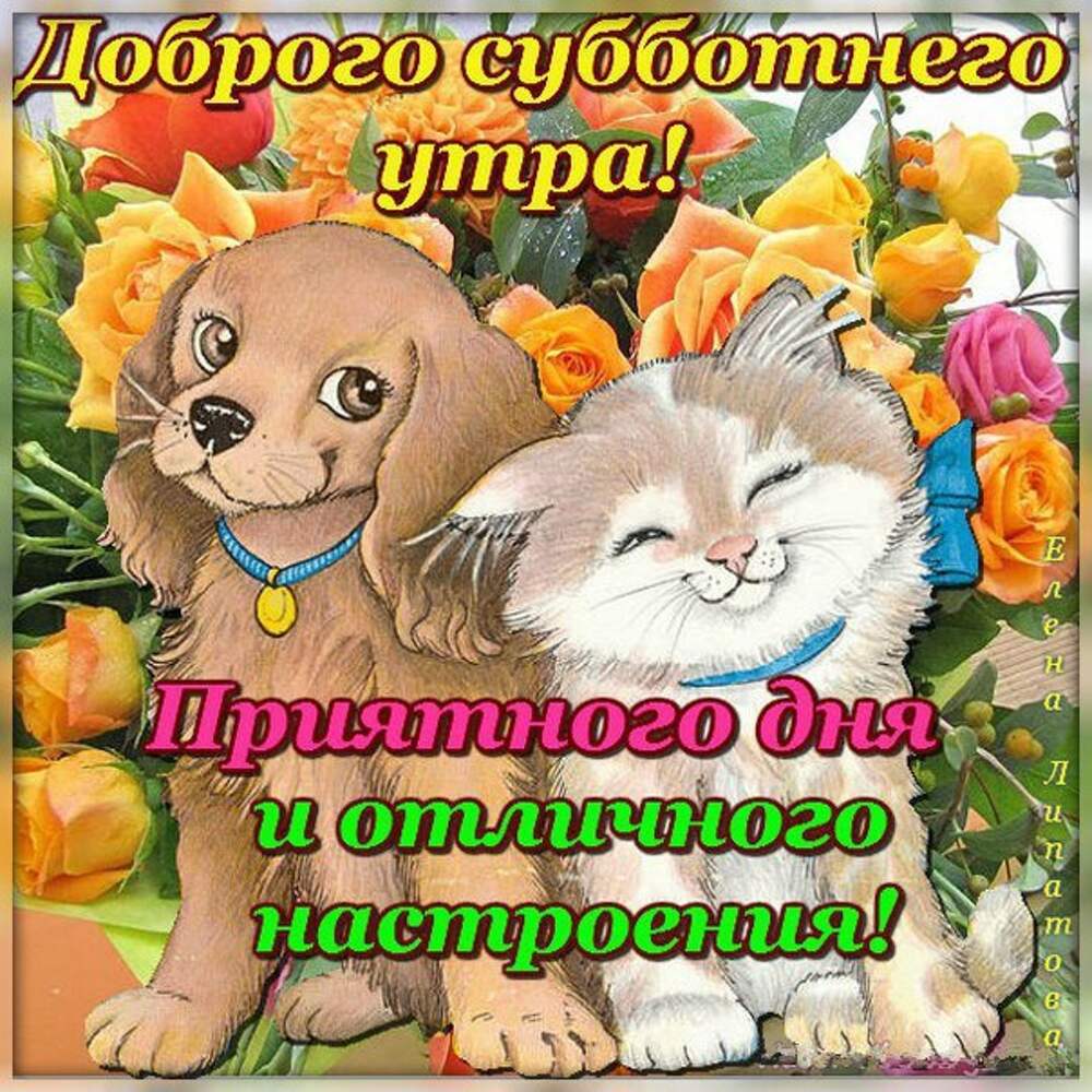 Доброе субботнее утро