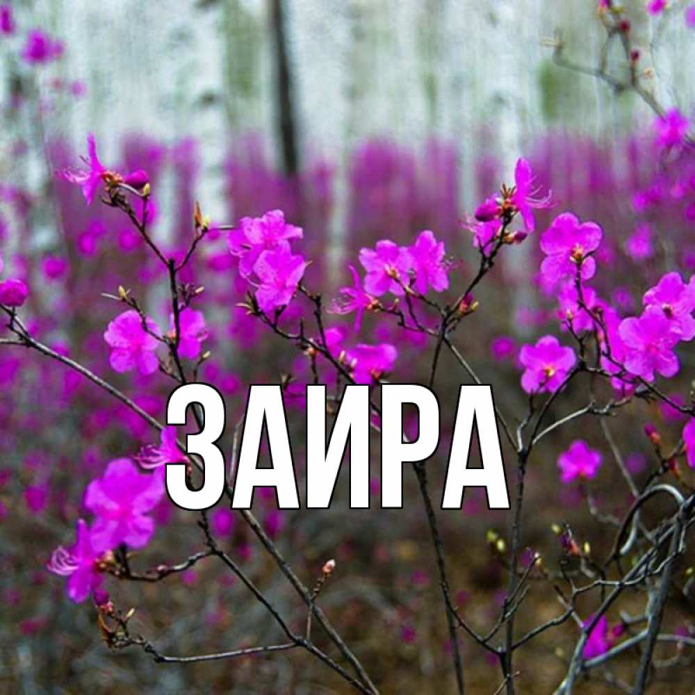 Надпись нежная