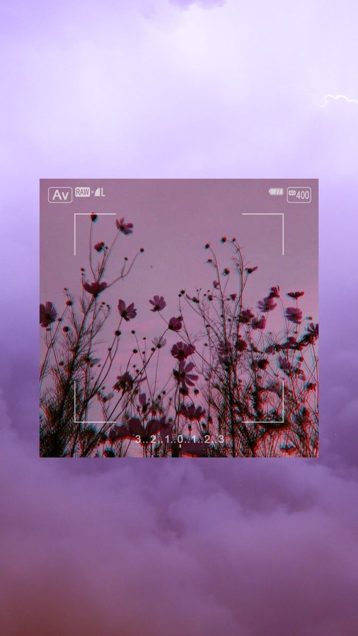 Обои на ноутбук эстетичные