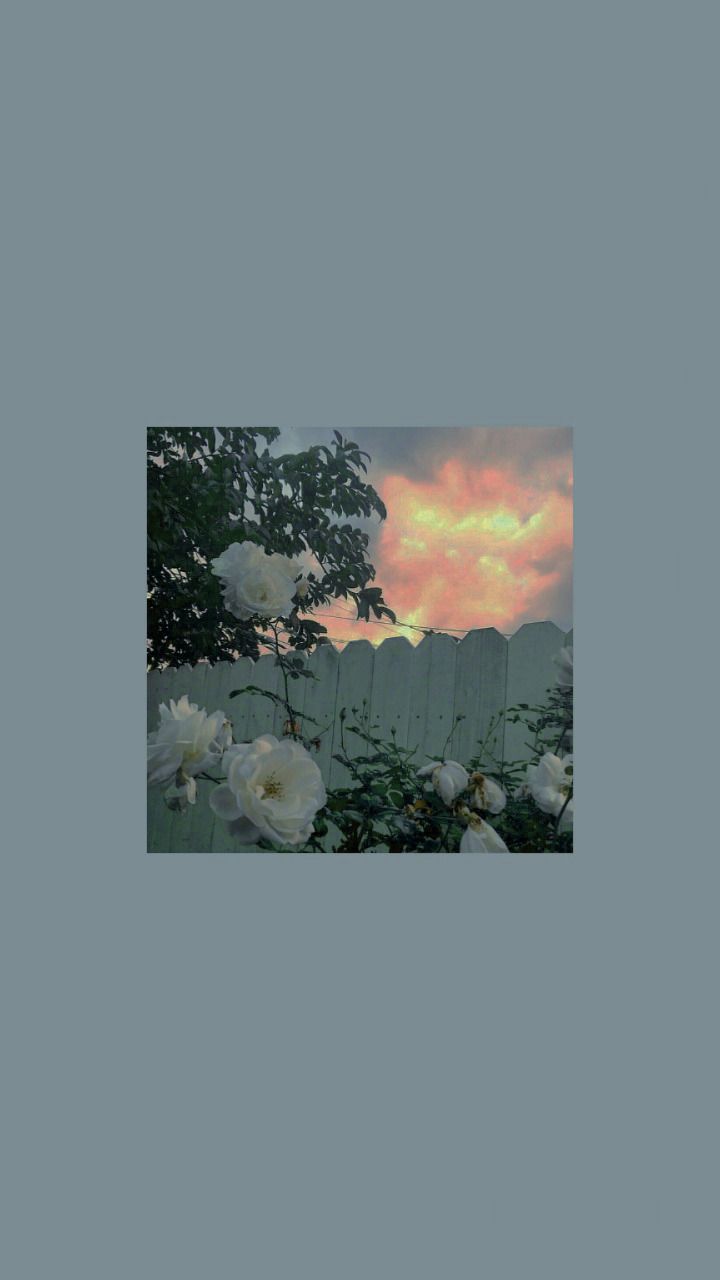 Эстетика квадратики