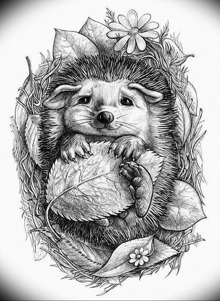 Рисунки ежика для срисовки