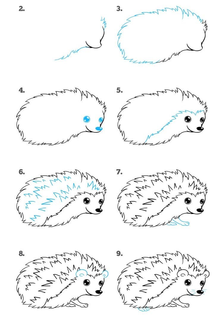 Ёжик для срисовки
