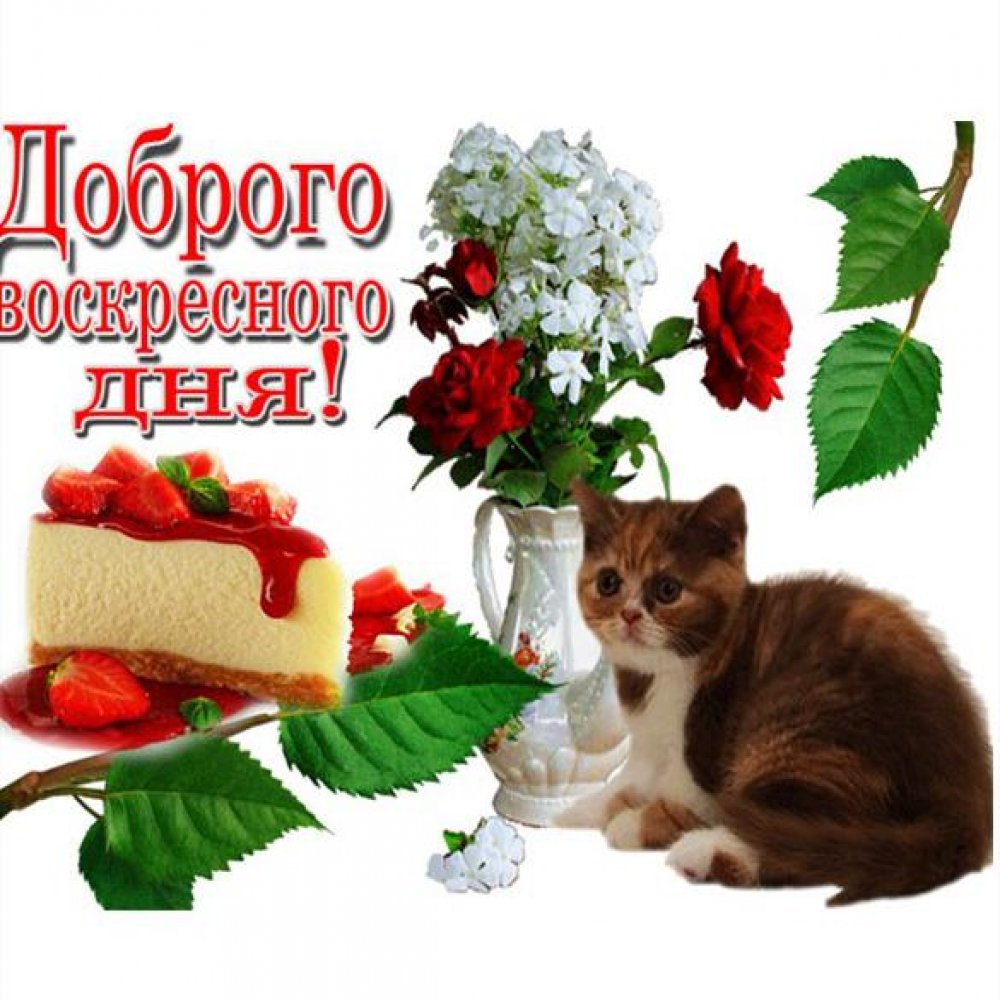 Доброго воскресного утра и хорошего настроения