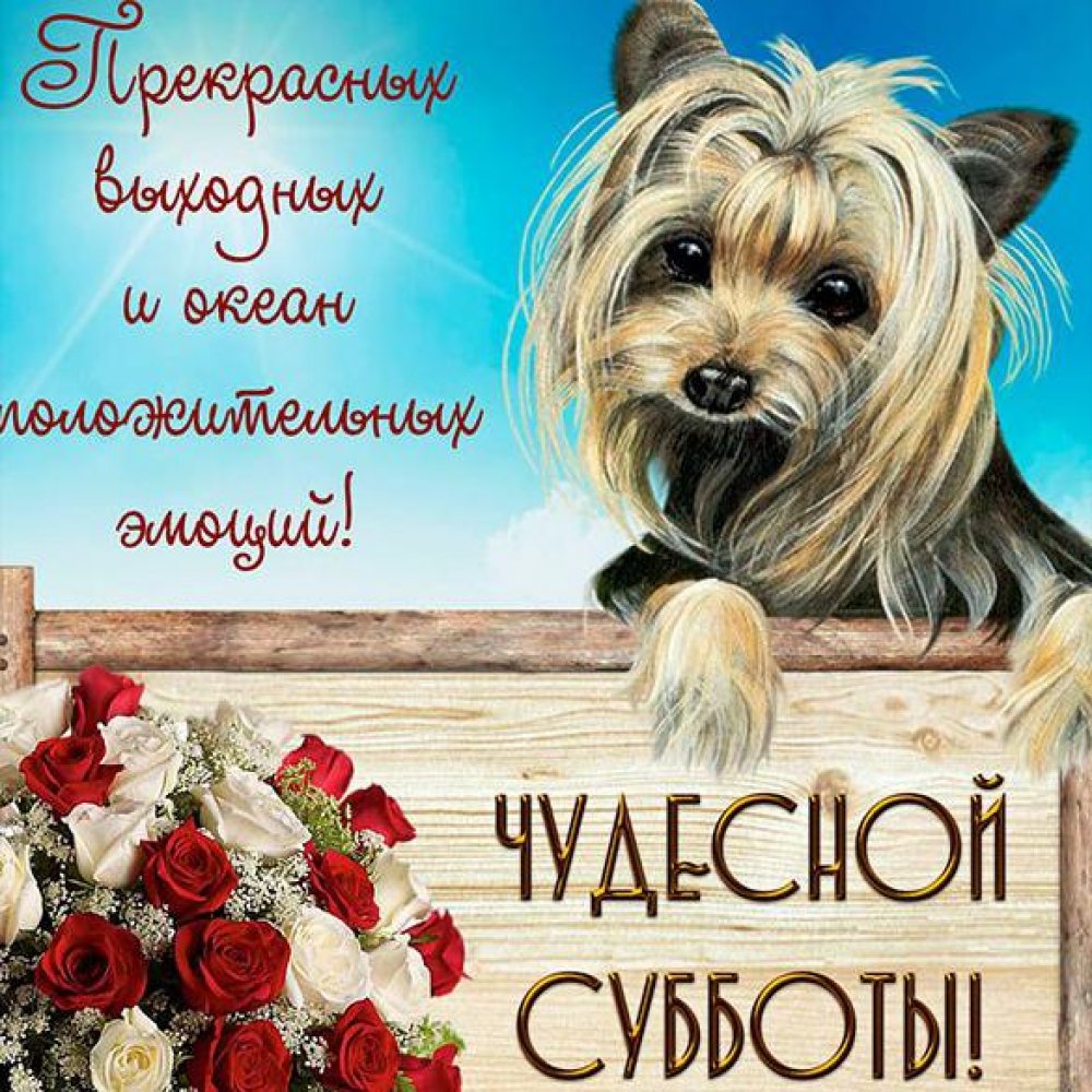 Доброе утро и хороших людей рядом