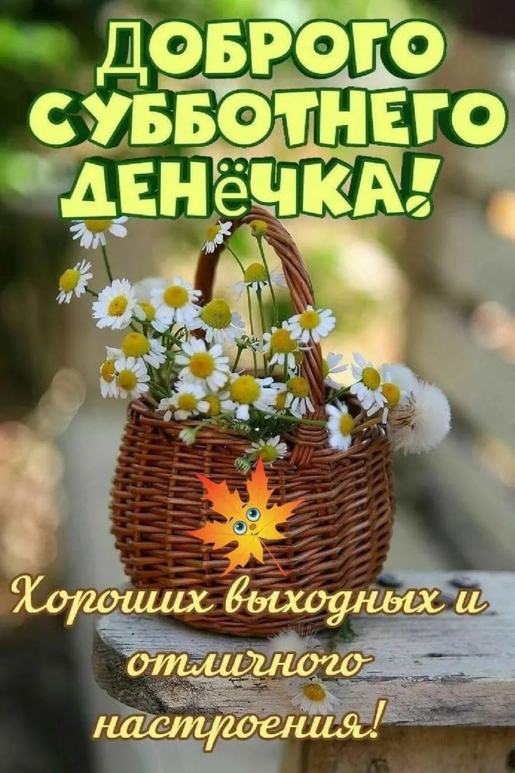 Отличных весенних выходных