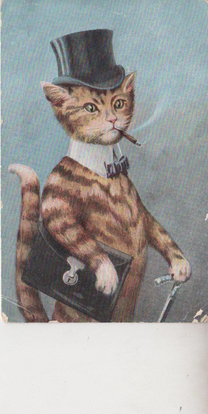 Силуэт кота в шляпе