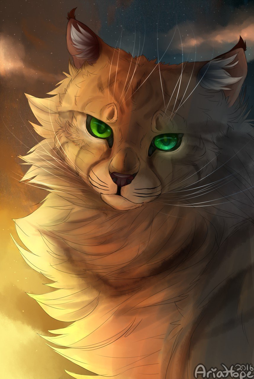 Lionblaze коты Воители