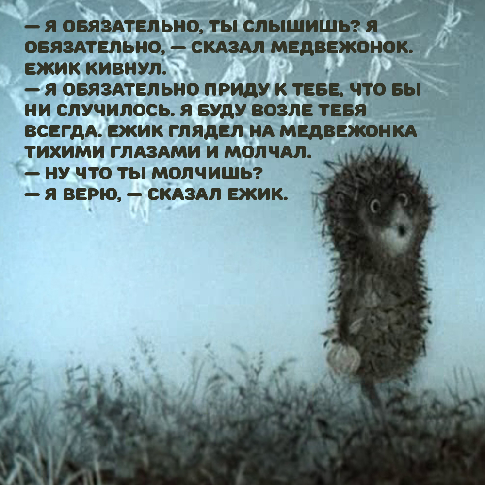Ежик в тумане юмор