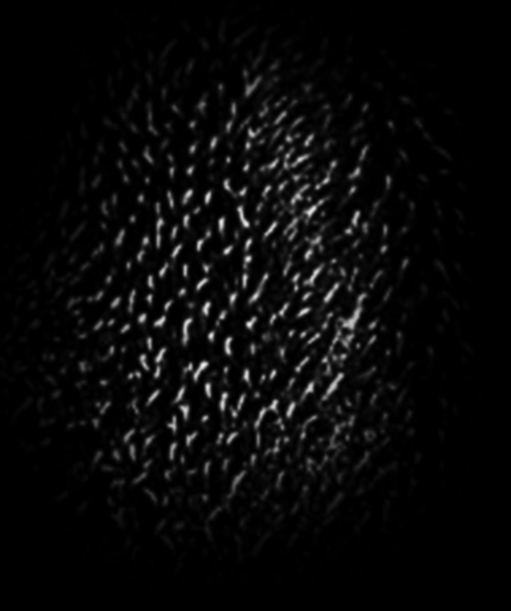Кисть кожи для Zbrush
