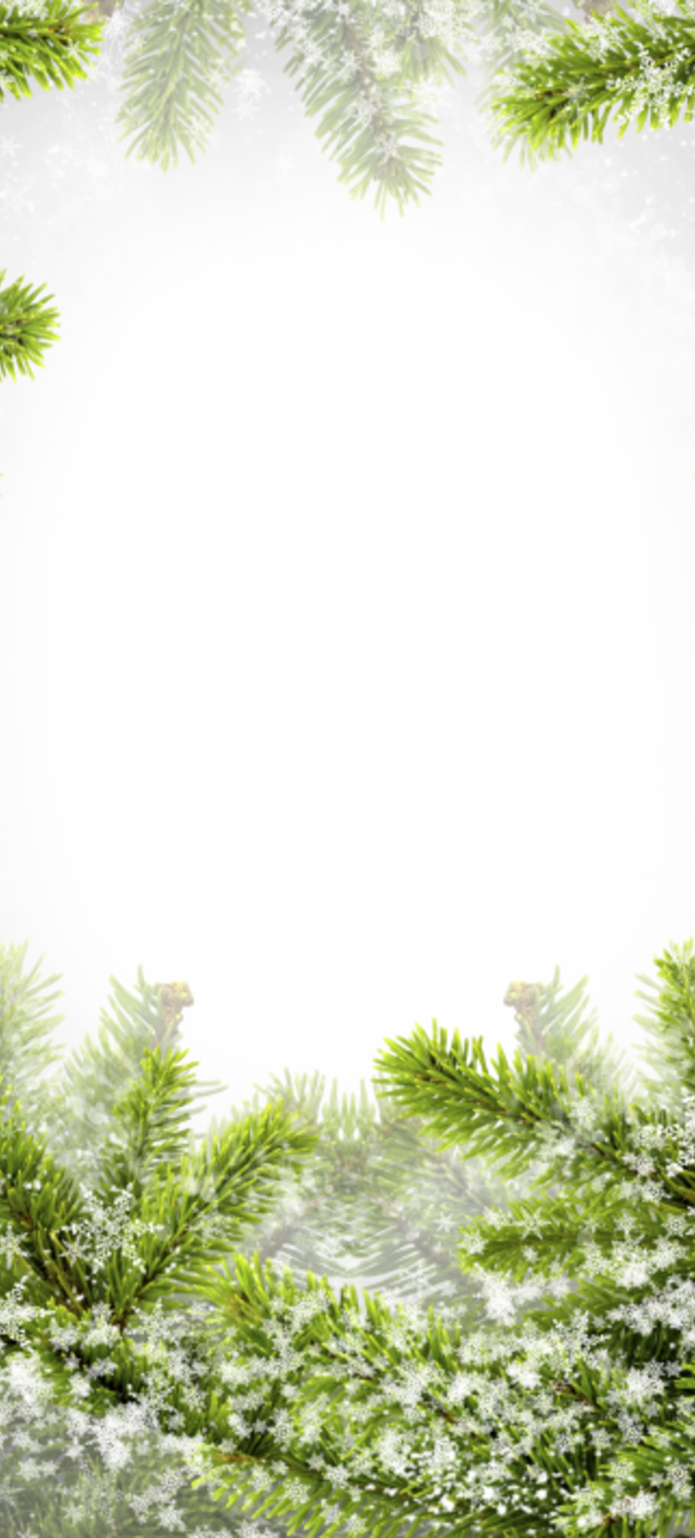 Зимний лес