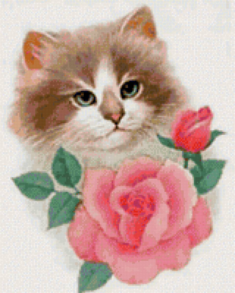 Кот с розой в зубах