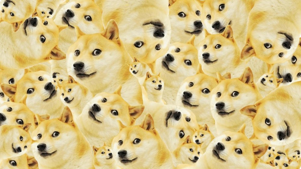 Джонатан Doge