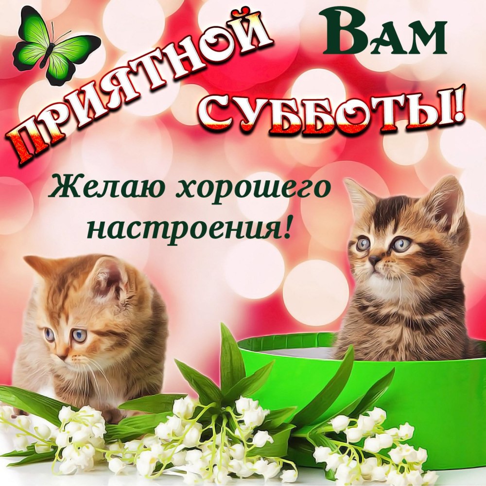 Суббота картинки