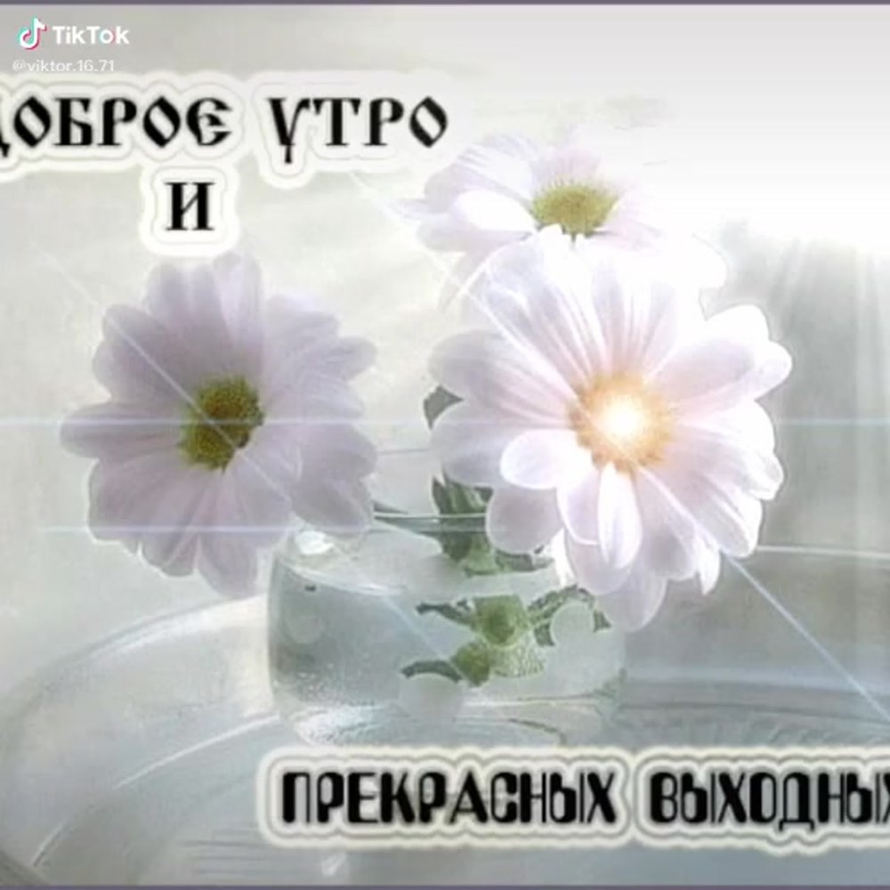 Доброго субботнего дня и хорошего настроения