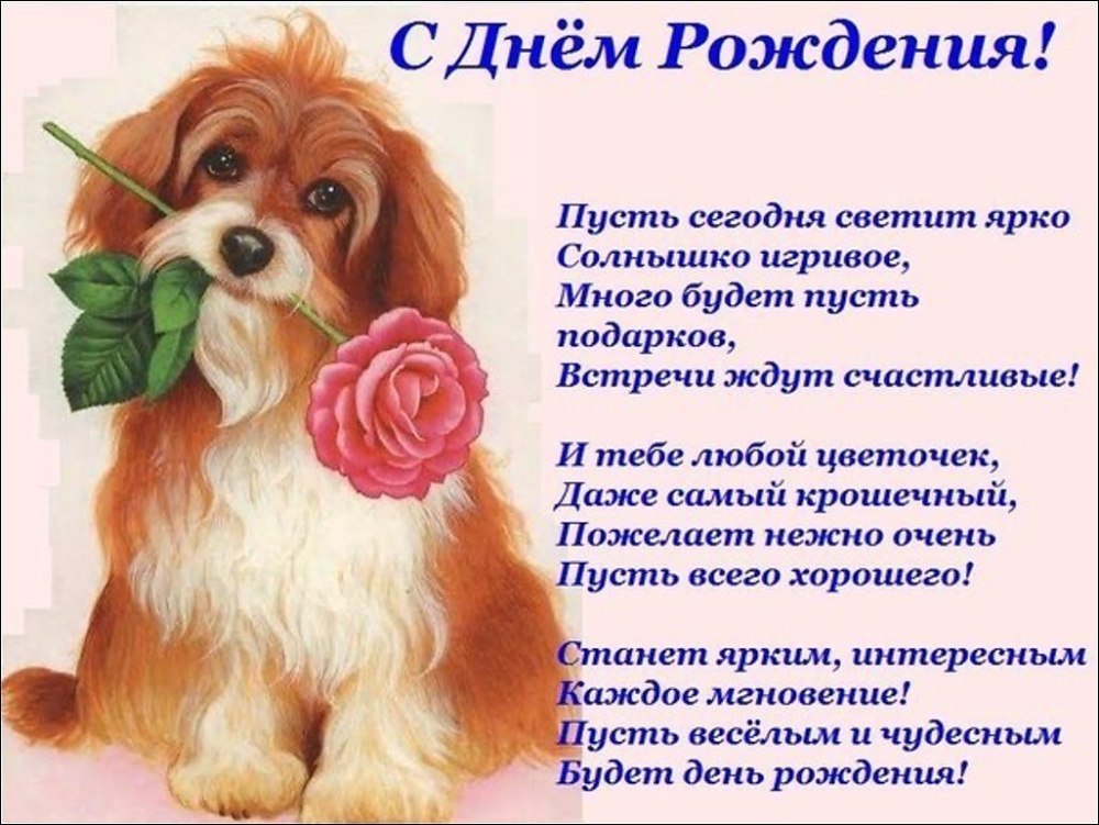 Подарочная открытка с днем рождения