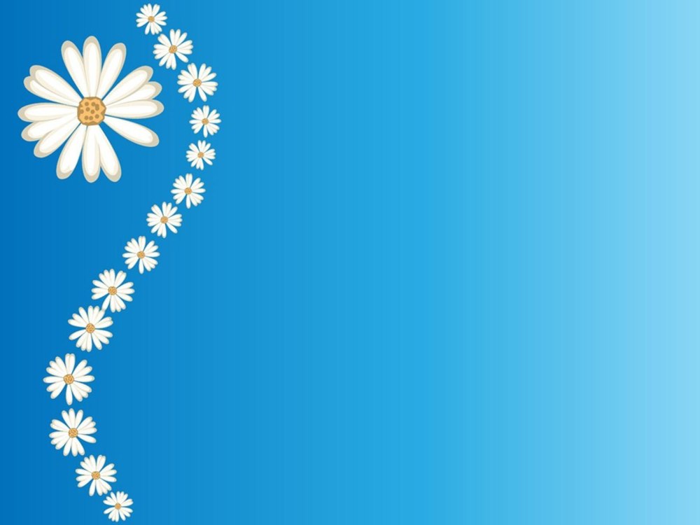 Фон ромашки