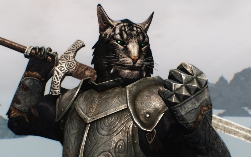 Котенок воин
